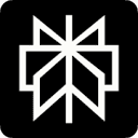 Perplexity Ai